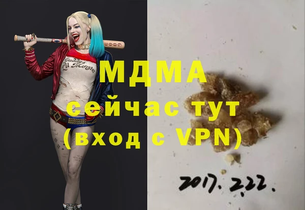 индика Алексин