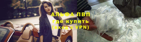 индика Алексин