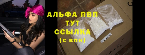 гидра Михайловка