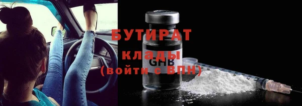 индика Алексин