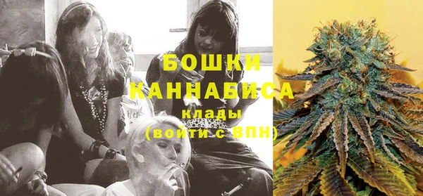 шишки Алексеевка