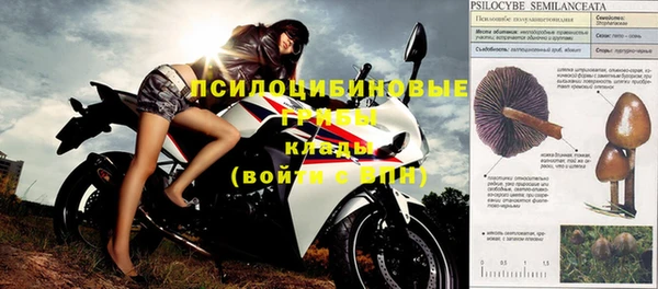 шишки Алексеевка