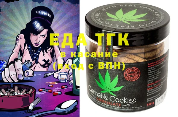 индика Алексин