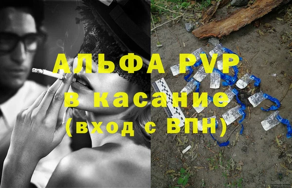 индика Алексин