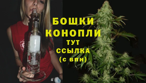 гидра Михайловск
