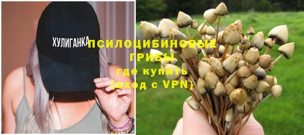 индика Алексин
