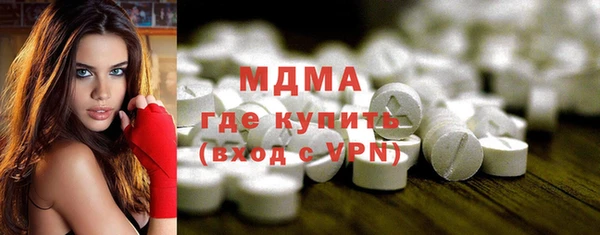 индика Алексин